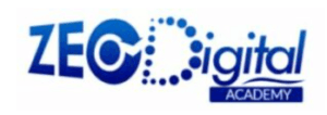 digital marketing courses in INISA - Zeo digital logo