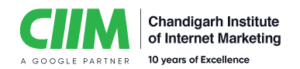 Digital Marketing Courses in Kaithal - CIIM Logo
