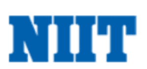 digital marketing courses in KANO - NIIT logo