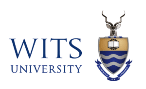 digital marketing courses in KRUGERSDORP - Wits university logo