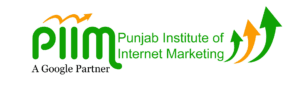 Digital Marketing Courses in Malerkotla - PIIM Logo