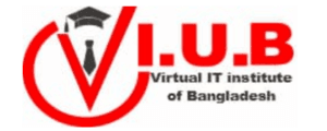 digital marketing courses in MYMENSINGH - VIUB logo