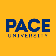Digital Marketing Courses in New York - Pace University logo