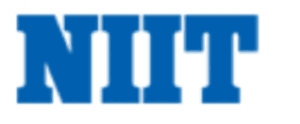 digital marketing courses in NNEWI - NIIT logo