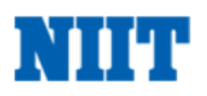 digital marketing courses in OWERRI - NIIT logo