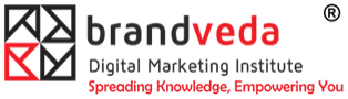 BrandVeda Site logo