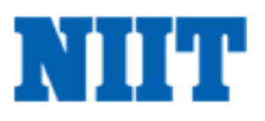 digital marketing courses in ROURKELA - NIIT logo