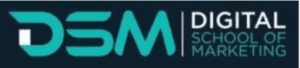 digital marketing courses in RUSTENBURG DSMlogo