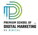 Digital Marketing Courses in Satara - Premium School of Digital Marketing Logo