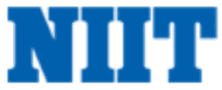 Digital Marketing Courses in Jaleswar - NIIT Logo