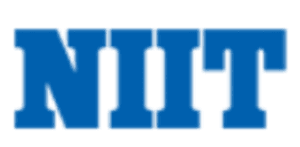 digital marketing courses in UMUAHIA - NIIT logo