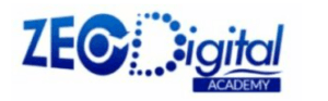 digital marketing courses in WARRI - Zeo digital logo
