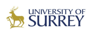 digital marketing courses in WOKING - University of surrey logo