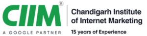digital marketing courses in Bahadurgarh - Chandigarh Institute of Internet Marketing logo