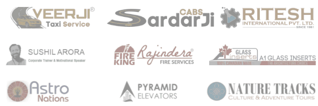 Digital Marketing Companies in Punjab - Bangaree Clients