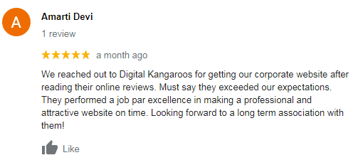 Digital Marketing Companies in Punjab - Digital Kangaroos Client Review