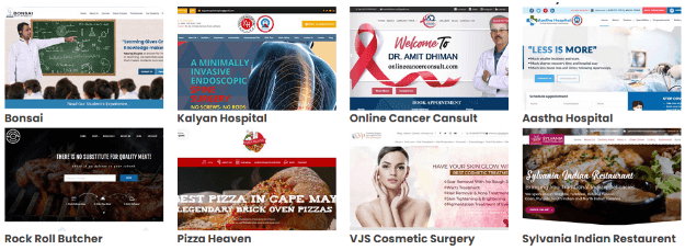 Digital Marketing Services in Ludhiana - Fly Media Tech Clients