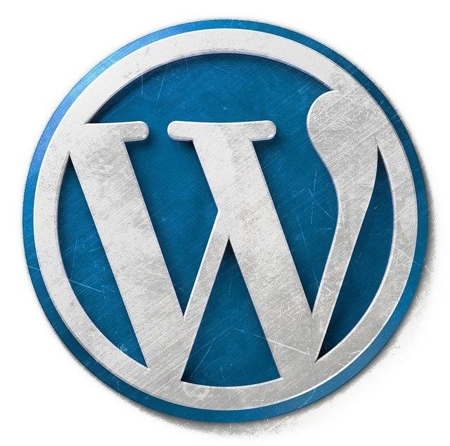 Digital Marketing Skills in Abu Dhabi - WordPress Logo