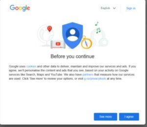 Digital Marketing Trends in Delhi - Privacy and Cookies