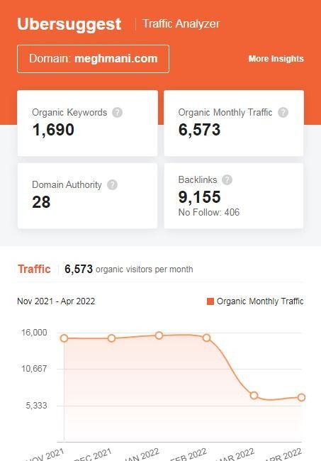 Marketing Strategy Meghmani Organics - SEO