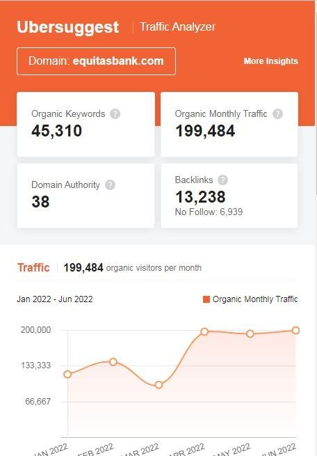 Marketing Strategy of Equitas Holding - SEO