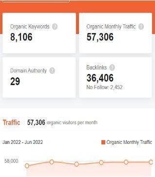 Marketing Strategy of Surya Roshni - SEO
