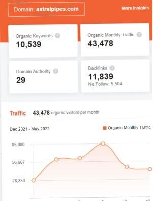 Marketing Strategy of Astral Poly Technik - SEO