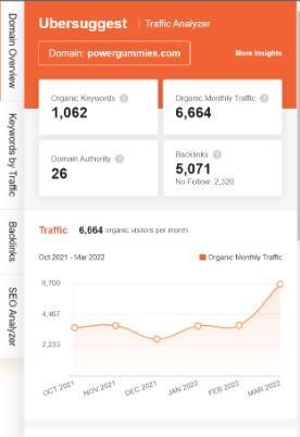 Marketing Strategy of Power Gummies - SEO