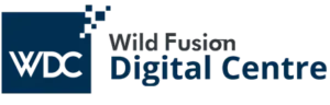 Digital marketing courses in Abakaliki- WDC