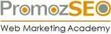 Digital Marketing Courses in Krishnanagar - PromozSEO Logo
