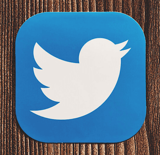 brand logo of Twitter -Marketing strategy of Twitter | IIDE