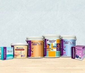 Asian Paints Buckets | Business Model Of Asian Paints | IIDE
