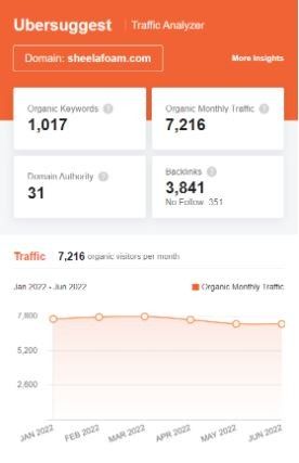 Marketing Strategy of Sheela Foam - SEO