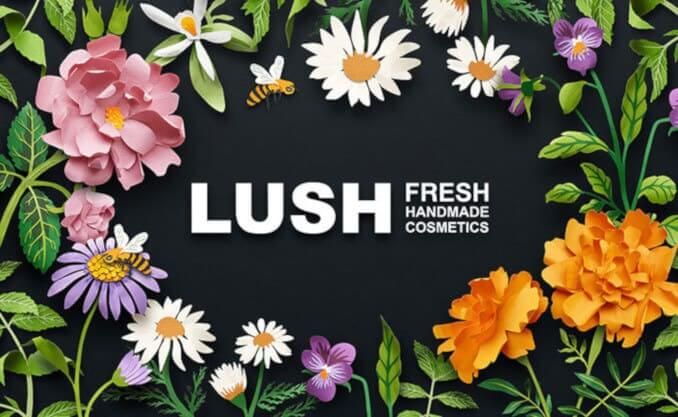 Luah Cosmetics - image
