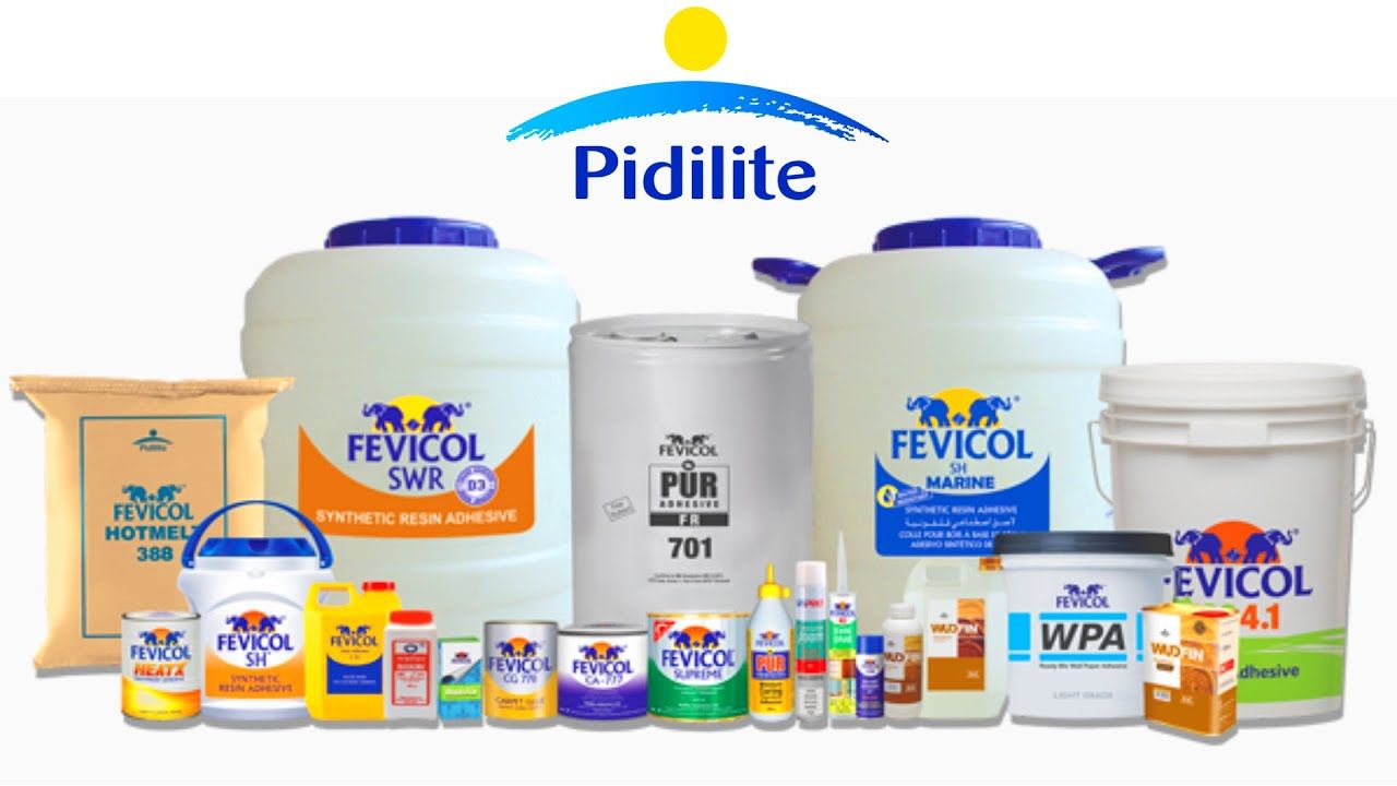 Marketing Strategy of Pidilite - Pidilite Products