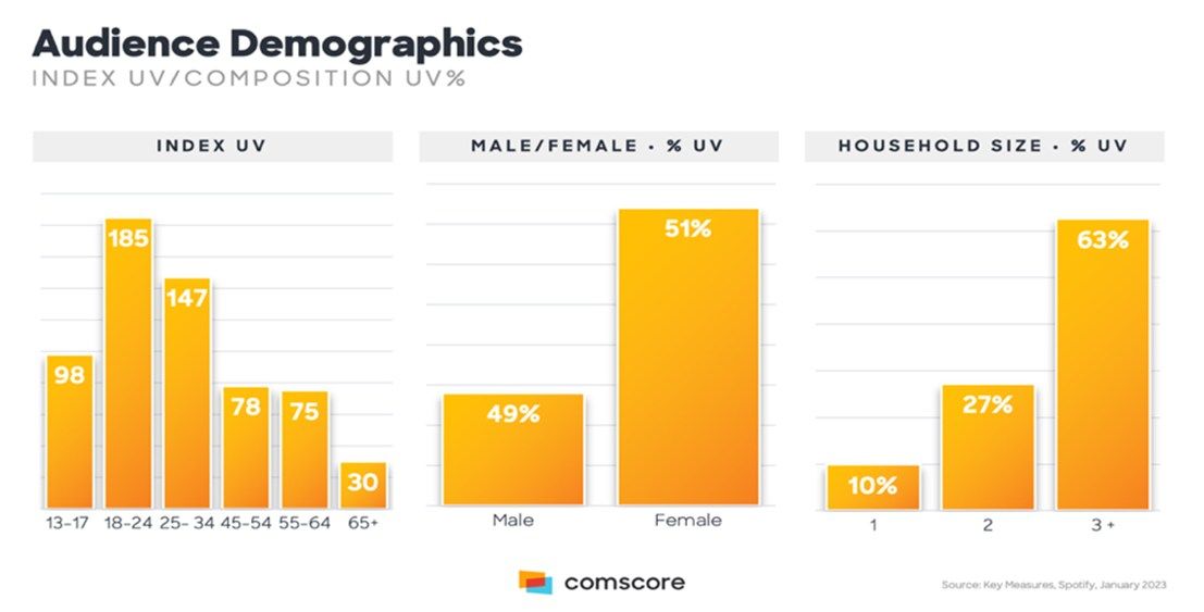 Marketing Strategy of Spotify - Spotify Audience Demographics