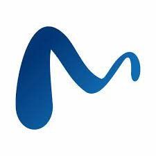 SEO Courses in Gujarat -Mayur Web Technology Logo