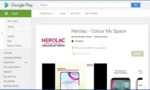 Nerolac Paints Online App - Marketing Strategy of Nerolac Paints | IIDE