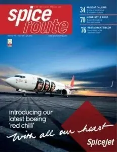 SpiceJet Marketing Campaign - Marketing Strategy of SpiceJet | IIDE