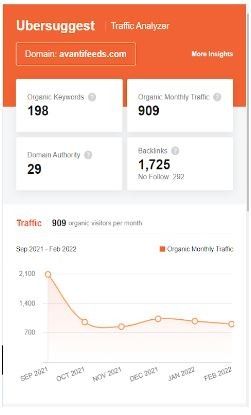 Marketing Strategy of Avanti Feeds - SEO