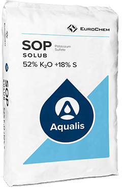 SWOT Analysis of WuroChem - Mockup Bag SOP solub