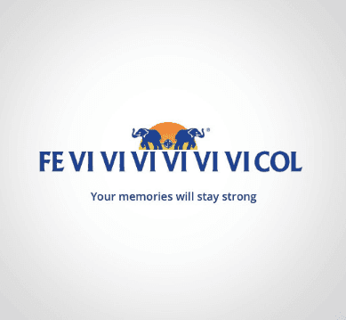 Moment Marketing Example - Fevicol