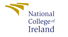 MBA in digital marketing in Dublin - National college of Ireland logo