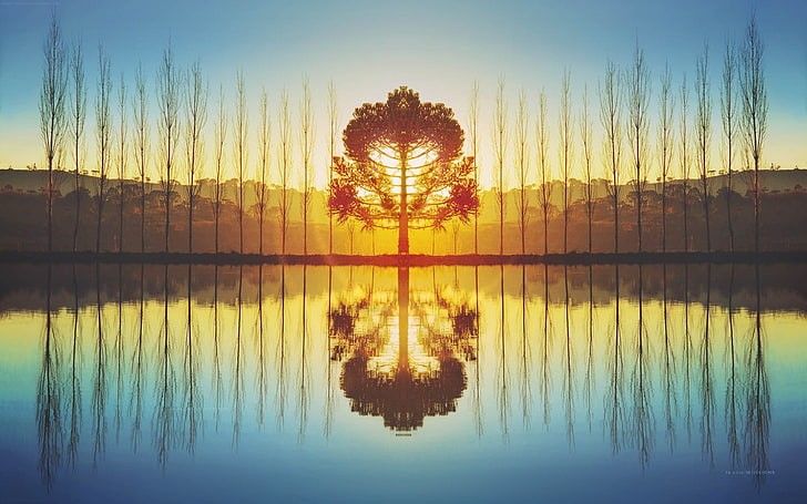 tips for photography - Symmetrical balance