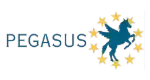 pegasus-28bb20b57fa20920035280ca4a058299.webp