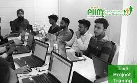 Digital marketing courses in Malerkota - PIIM Culture