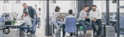 PLACEMENT American Graphic Institute