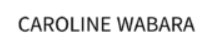 SEO COURSES IN MAIDUGURI- CAROLINE WABARA LOGO
