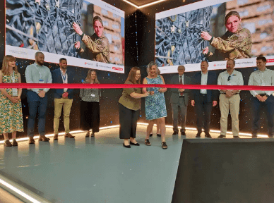 marketing strategy of BAE Systems - marketing campaign