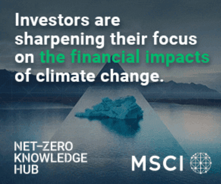 marketing strategy of MSCI - marketing campaign